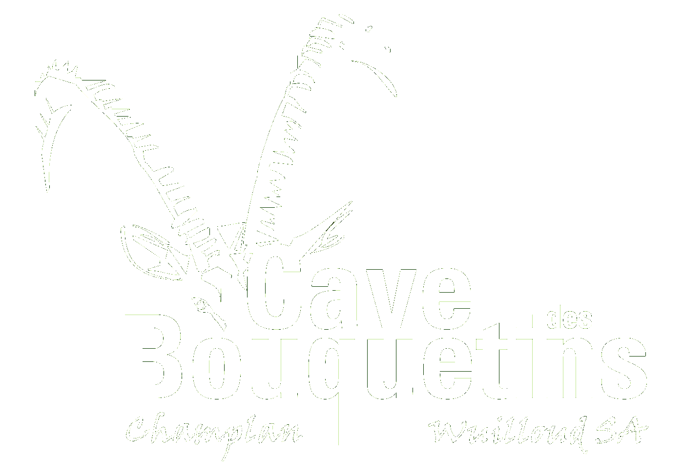 Cave des Bouquetins